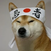 Japanese Doge