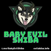Baby Evil Shiba