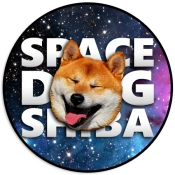 SpaceDogShiba